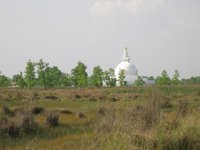 Lumbini 6