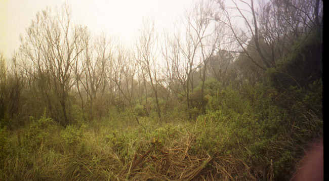 Kili trek, first day