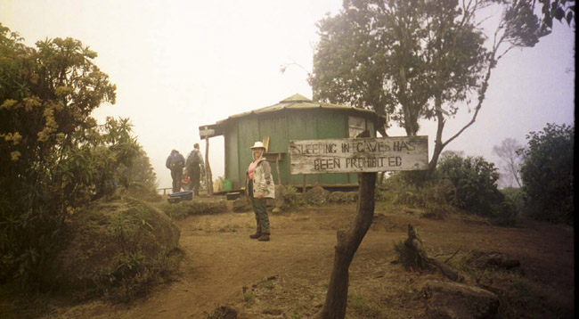 The end of the first day of the trek (Machame Hut)