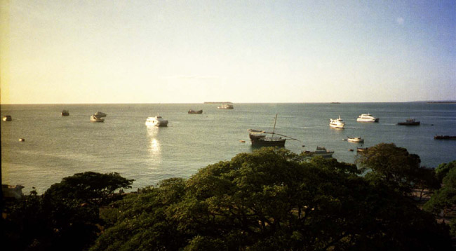 A better view of the Stone Town harbor