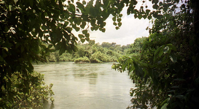 View off the back of the "lunch island"
