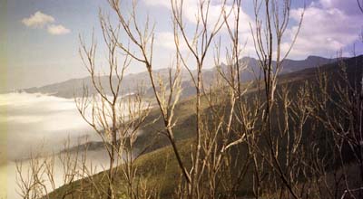 Looking down at the clouds and out at the peaks