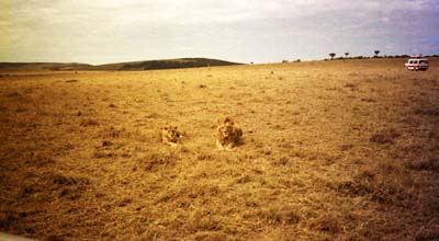 Yeah, I'm lookin' at you